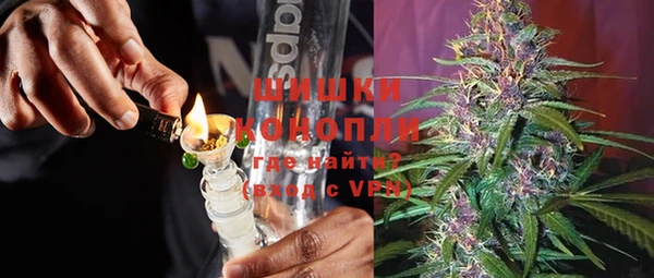 гашик Инсар