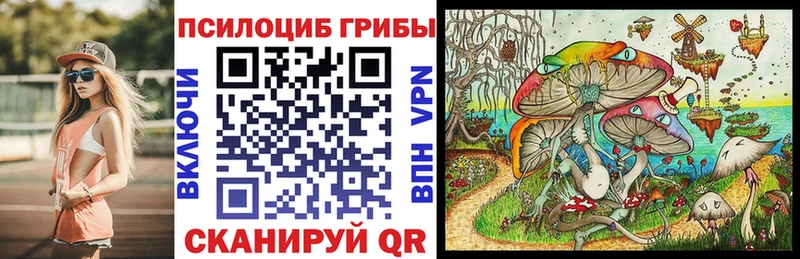Галлюциногенные грибы Psilocybe  закладка  kraken ССЫЛКА  Высоковск 
